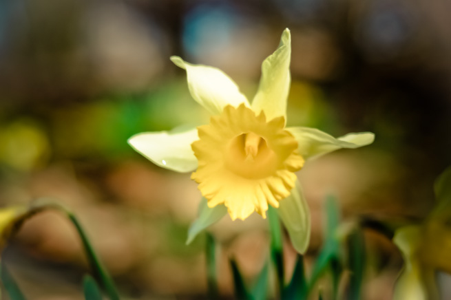 Post image for Easter Beyond Rules